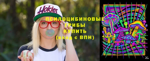 mdpv Каменка