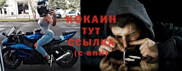 mdpv Каменка