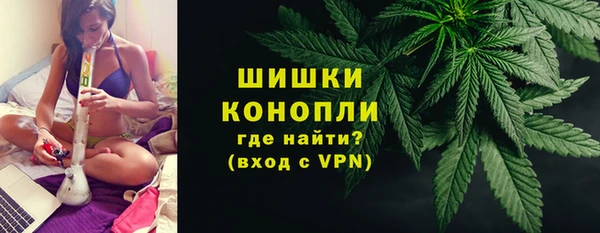 mdpv Каменка