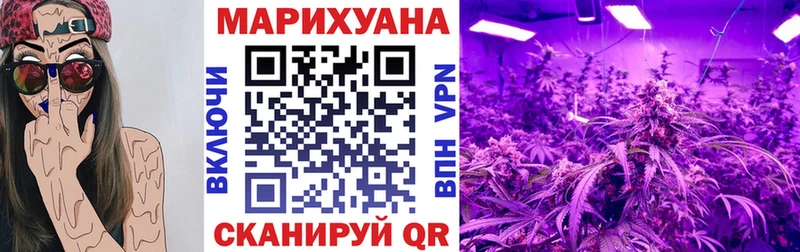 Купить где  Железногорск-Илимский  Шишки марихуана Amnesia 